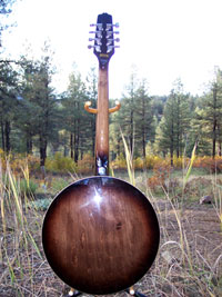 Octajo Octive Banjo Mandolin