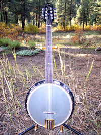 Octajo Octive Banjo Mandolin