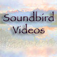 Soundbird Videos