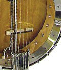 Banjitar from Gold Tone Instruments