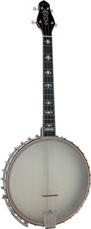 CEB-4 Cello Banjo