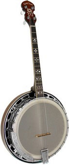 IT-250F Tenor Banjo