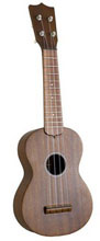 Gu_100 Ukulele